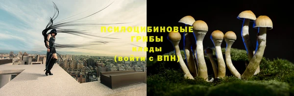 герыч Зеленокумск