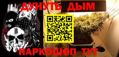прущие грибы Малгобек