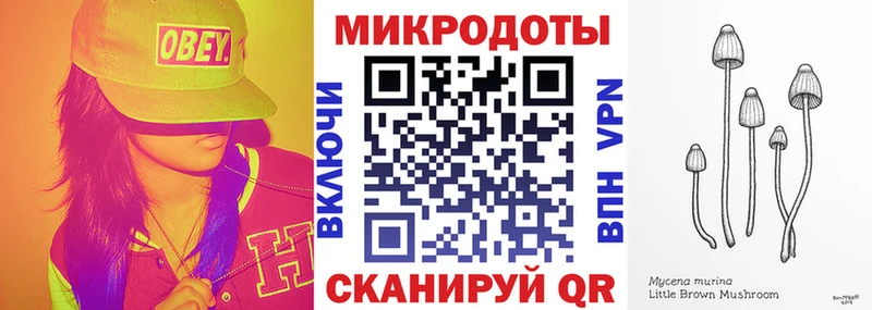 ОМГ ОМГ   Каменка  Псилоцибиновые грибы Cubensis  закладка 