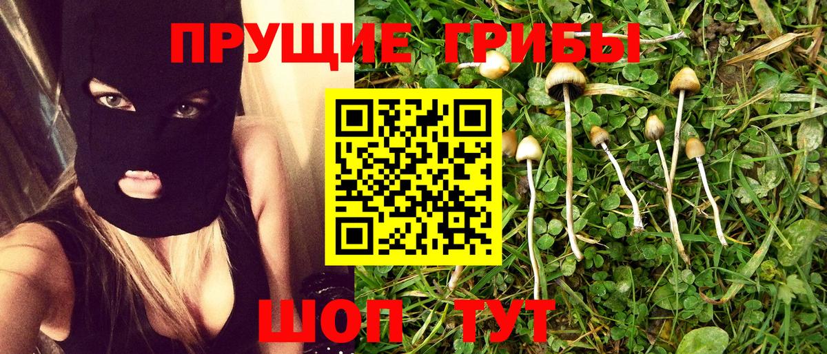 Каменка  как найти наркотики  Псилоцибиновые грибы Psilocybine cubensis  Вход с VPN  Галлюциногенные грибы мухоморы 